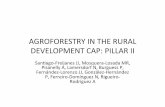 4 AGROFORESTRY IN THE RURAL DEVELOPMENT CAP.2pptx · Measures’of’EAFRD Measure Nº Measures 111 Vocational’training,’information’actions,’including’diffusion’of’scientific’knowledge’and’practices’for’