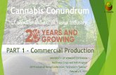 Cannabis Conundrum - University of Vermont · Planting - Site Selection Jan - Mar Choose well managed, good productivity cash crop land, dryland or irrigated Know your: Crop History