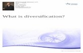 What is diversification? - kingdomfinancialministries.com€¦ · What is diversification? Page 1 of 3, see disclaimer on final page. What is diversification? Virtually every investment