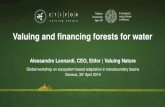 Valuing and financing forests for water - UNECE Homepage€¦ · Valuing and financing forests for water Global workshop on ecosystem-based adaptation in transboundary basins Geneva,