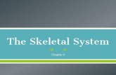 The Skeletal System - bfhsemory › uploads › 5 › 6 › 6 › 3 › 56633385 › co… · The Skeletal System Chapter 4. FUNCTIONS OF THE SKELETAL SYSTEM ... oSkull oVertebral