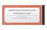 XX-COGS11-adolescent brains and marijuana use-BOYLEpages.ucsd.edu/~mboyle/COGS11/COGS11-website/pdf...1% of world population emerges: late adolescence or early adulthood 10% eventually