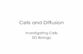 Cells and Diffusion - Miss Hanson's Biology …hansonbiology.weebly.com › uploads › 1 › 7 › 7 › 8 › 17781999 › sg_bio...Cells and Diffusion Investigating Cells SG Biology