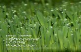 Hydroponic Fodder Production - Landbou · 2015-08-12 · Hydroponic Fodder production systems are used in a number of different livestock systems internationally. Within the last