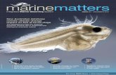 1864 IMOS Marine Matters issue 31 December 2018imos.org.au/fileadmin/user_upload/shared/IMOS... · New Australian database reveals climate change impact on fish at larval stage The