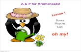 A & P for Aromaheads! · 2017-10-08 · Lesson 1 Bones Muscles Skin oh my! Monday, July 21, 14. Muscles Monday, July 21, 14. Monday, July 21, 14. Monday, July 21, 14. Monday, July