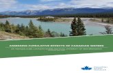 ASSESSING CUMULATIVE EFFECTS OF CANADIAN WATERScwn-rce.ca/wp-content/uploads/2015/04/CWN-EN-Dube-2014-5Pager … · task which extends beyond research and political careers, and requires