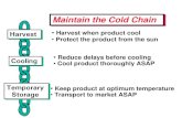Maintain the Cold ChainMaintain the Cold Chainaic.ucdavis.edu › events › CAS_05 › cantwell_part_B.pdfMaintain the Cold ChainMaintain the Cold Chain Transport Harvest Cooling
