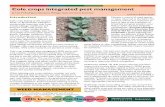 Page 1 Cole crops integrated pest management › uploads › resources › pdfs › cole... Page 1 Cole crops integrated pest management by Lina M. Rodriguez Salamanca, Michigan State