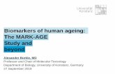 Biomarkers of human ageing: The MARK-AGE Study …...Griffiths HR et al., Novel ageing-biomarker discovery using data-intensive technologies. Mech Ageing Dev. 2015 Nov;151:114-21.