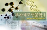 1. Basic Concepts of molecular cell biology - KOCWcontents.kocw.net › KOCW › document › 2011 › konkuk › LeeHoonTae… · 2016-09-09 · Basic Concepts of Molecular Cell