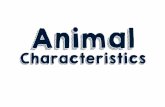 Animal - Utah State University · PDF file 2019-09-02 · Animal Characteristics • Farm animals live in herds to help them survive. (truth) • Farm animals do not live in herds