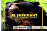 El Jucumari - Portal Sobre Conservación y Equidad Social CES · continente, oso de anteojos u oso sudamericano. NOMBRES LOCALES En algunas partes del norte del Departamento de La
