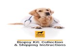Golden Retriever Lifetime Study Biopsy Kit: Collection ... · Biopsy Kit: Collection & Shipping Instructions Golden Retriever Lifetime Study ... separate tube of RNAlater and replace