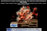 THE EFFECTS OF OCEAN ACIDIFICATION ON THE PRECIOUS ... › 2014 › 05 › bra… · the effects of ocean acidification on the precious mediterranean red coral bramanti l, rossi s,