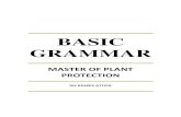 BASIC GRAMMAR - fsnv.univ-setif.dz · 10. We’re reading a story about a boy called Harry Potter. II/ Read the following passage containing common nouns and proper nouns. Put a C