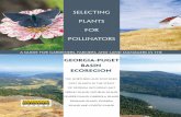 Selecting Plants for Pollinators › pollinator.org › assets › general...A Guide for Gardeners, Farmers, and Land Managers In the Georgia-Puget Basin ecoregion Selecting Plants