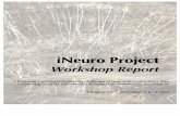 Workshop Report - BUmath.bu.edu/people/mak/papers/iNeuro_2014.pdfWorkshop Report • Preparing a workforce to meet the challenges of large-scale neuroscience data. • Producing curricula