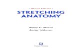 Second Edition stretching anatomydl.booktolearn.com/ebooks2/sport/9781450438155...AnAtomy And Physiology oF stretching Muscles such as the biceps brachii are complex organs composed