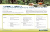 Plantations - VicForests › static › uploads › files › fs...Plantations and native forests are both important sources of wood in Victoria. There are two major plantation types
