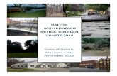 DALTON MULTI HAZARD MITIGATION PLAN ... Acknowledgements The Dalton Multi-Hazard Mitigation Plan Update has been made possible with the financial support of a Pre-Disaster Mitigation