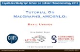 Tutorial On MadGraph5 aMC@NLO - IHEP · 2018-11-20 · FeynRules/MadGraph School 17 USTC Hefei 2018 EXERCISES: PLOT DISTRIBUTIONS • Next slides are generated with bwcutoff=5, which