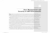 CHAPTER User Management and Security in SAP Environmentsmedia.techtarget.com/searchSAP/downloads/chapter... · 2010-06-24 · User Management and Security in SAP Environments S ...