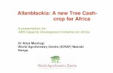 Allanblackia: A new Tree Cash- crop for Africa · Russell et al (2008) AFLP and SSR diversity in the African fruit tree Allanblackia: implications for management of a genus newly