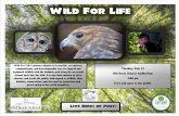 Wild For Lifebcpls.org/Docs/YASRP_WildLife.pdf · orphaned wildlife with the ultimate goal being the successful release back into the wild. It is also their mission to alert, educate,