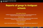Reports of gangs in Antiguan schools - ASU Center for ... · Reports of gangs in Antiguan schools Julie Meeks Gardner Caribbean Child Development Centre, Consortium for Social Development
