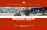SOLO PROTESTS IN TIBET › wp-content › uploads › 2018 › 11 › Themenb... · 2019-07-03 · International Campaign for Tibet on October 11, 2018 . Report highlights: • Peaceful