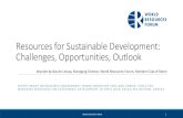 Resources for Sustainable Development: Challenges ...€¦ · Resources for Sustainable Development: Challenges, Opportunities, Outlook EXPERT GROUP ON RESOURCE MANAGEMENT (EGRM)
