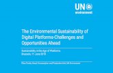 The Environmental Sustainability of Digital Platforms ...€¦ ·