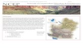 Colorado River Interactive Simulation - Colorado River ... In 1869, an American named John Wesley Powell made the first thorough exploration of the Colorado River and the Green River.