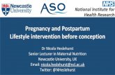 Pregnancy and Postpartum Lifestyle intervention before ... › wp-content › uploads › 2019 › 08 › ... · Maternal Obesity Inequalities (Global) nicola.heslehurst@ncl.ac.uk