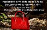 Be Careful What You Wish For! · Traceability in Wildlife Trade Chains - Be Careful What You Wish For! Grahame Webb Chairman, IUCN-SSC Crocodile Specialist Group