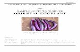 SAMPLE COSTS TO PRODUCE ORIENTAL EGGPLANT · INTRODUCTION Sample costs to produce oriental eggplant in the San Joaquin Valley are shown in this study. The study is intended as a guide