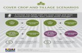 COVER CROP AND TILLAGE SCENARIOS - LSU AgCenter/media/system/b/d/4/4/...These new ﬁelds should not have cover crops and reduced tillage previously adopted. COVER CROP AND TILLAGE