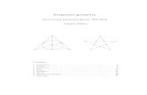 Projective geometry - RWTH Aachen UniversityJuergen.Mueller/preprints/jm114.pdf · This geometry is called the Beltrami-Cayley-Klein or projective model of the hyperbolic plane; it