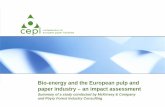 Summary of a study conducted by McKinsey & …...Document Bio-energy and the European pulp and Date paper industry – an impact assessment Summary of a study conducted by McKinsey