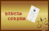 HABEAS CORPUS - Cardarelli Massaua › wp-content › uploads › 2013 › … · L’Habeas Corpus Act è una ingiunzione imperativa che contiene l’ordine di portare il detenuto