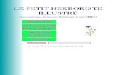 LE PETIT HERBORISTE ILLUSTR£â€° ABSINTHE (Artemisia absinthium, Wormwood) Plante des terrains rocailleux