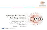Synergy 2018 (SyG) funding scheme - White Rose Brussels · Synergy 2018 (SyG) funding scheme Agnes Kulcsar, Unit B2 Call and Project Follow-up Coordination Leeds, 14 June 2017 . Content