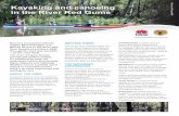 Kayaking and canoeing in the River Red Gums › - › media › ... · Kayaking and canoeing in the River Red Gums Become acquainted with the mighty Murrumbidgee and Murray Rivers