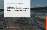 Minería y procesamiento de de minerales Materales · PDF file Minería & Procesamiento de Minerales | 4 Minería & Procesamiento de Minerales | 5 Pexgol, una división de Golan Plastic