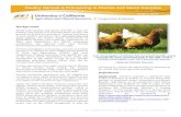 Poultry Harvest & Processing in Plumas and Sierra Countiesucce-plumas-sierra.ucanr.edu/files/209860.pdfPoultry Harvest & Processing in Plumas and Sierra Counties August 2014 Background