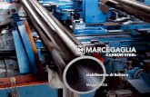 stabilimento di Boltiere - Marcegaglia · 2019-05-02 · Lo stabilimento Lo stabilimento Marcegaglia Carbon Steel di Boltiere (Bergamo) è specializzato nella produzione di tubi trafilati