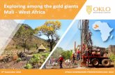 Exploring among the gold giants Mali - West Africa · PDF file Exploring among the gold giants Mali - West Africa . The material in this presentation (“material”) is not and does