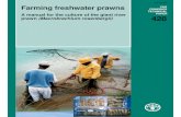 Farming freshwater prawns FISHERIES FAO TECHNICAL A …...farming may be more sustainable than marine shrimp farming (New, D’Abramo, Valenti and Singholka 2000). ... Aeration 96