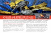 The 2010 Gulf of Mexico Disaster: Brown Pelican...The brown pelican is currently found along the coastlines of all five states in the Gulf of Mexico, and it is the state bird of Louisiana,